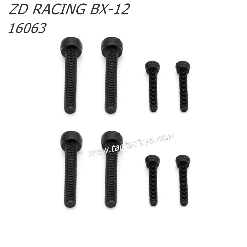 ZD Racing BX12 RC Buggy Parts M3x18 M2x12 Screws 16063 ZD Racing BX12 RC Buggy Parts M3x18 M2x12 Screws 16063