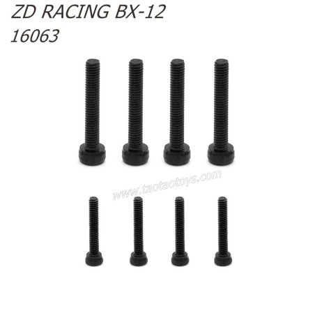 ZD Racing BX12 RC Buggy Parts M3x18 M2x12 Screws 16063