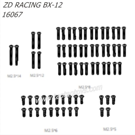 ZD Racing BX12 1/12 RC Buggy Parts Pan head Screw 16067