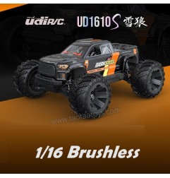 UDIRC UD1610S 1/16 2.4Ghz RC Monster Truck