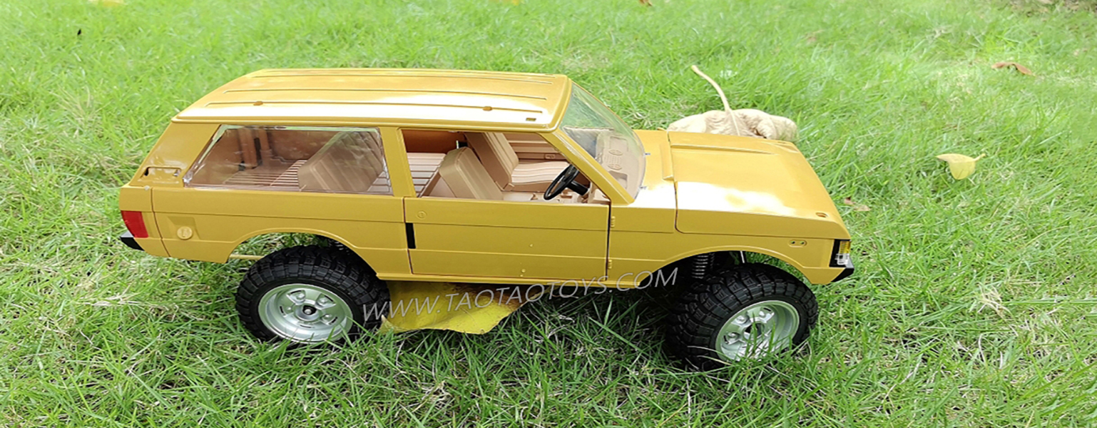 3-MN MODEL MN168 RC CAR